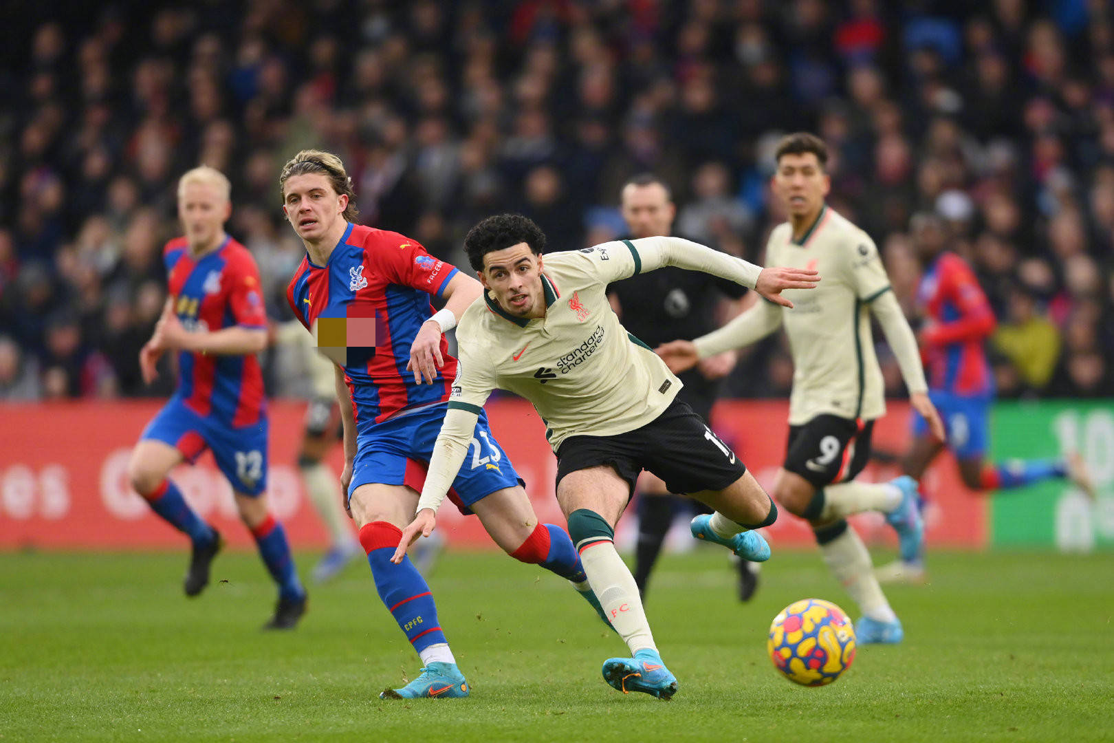 他们明白 他们明白